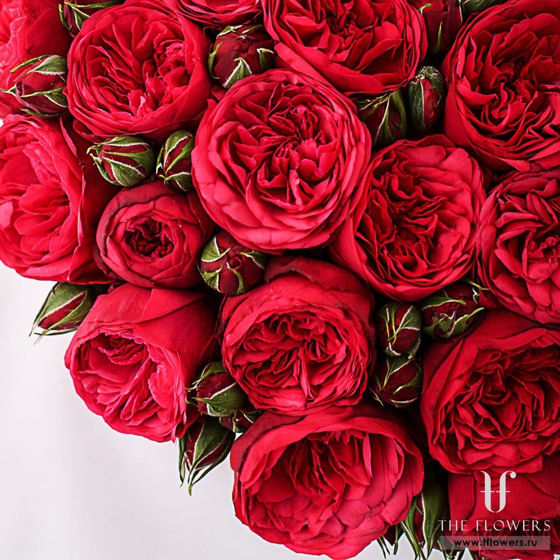 Красные розы "RED PIANO" в коробке с бантом "DIOR"