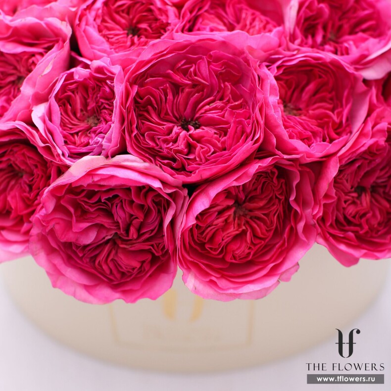 Розовые розы DAVID AUSTIN в шляпной коробке "РОУЗ КРИМ"