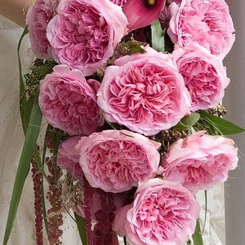 Букет невесты из розовых пионовидных роз "МИРАНДА"
