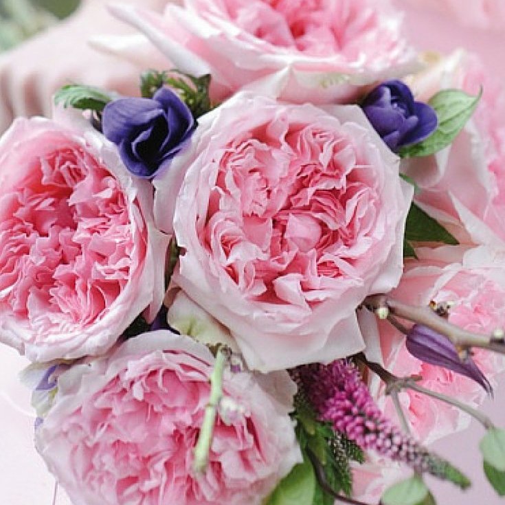 Букет невесты из розовых пионовидных роз "МИРАНДА"