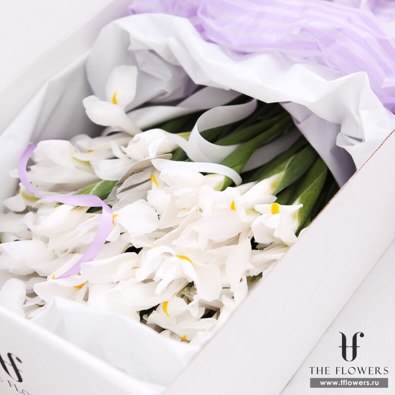 Коробка цветов "WHITE IRIS BOX" - 49 белых ирисов в прямоугольной коробке