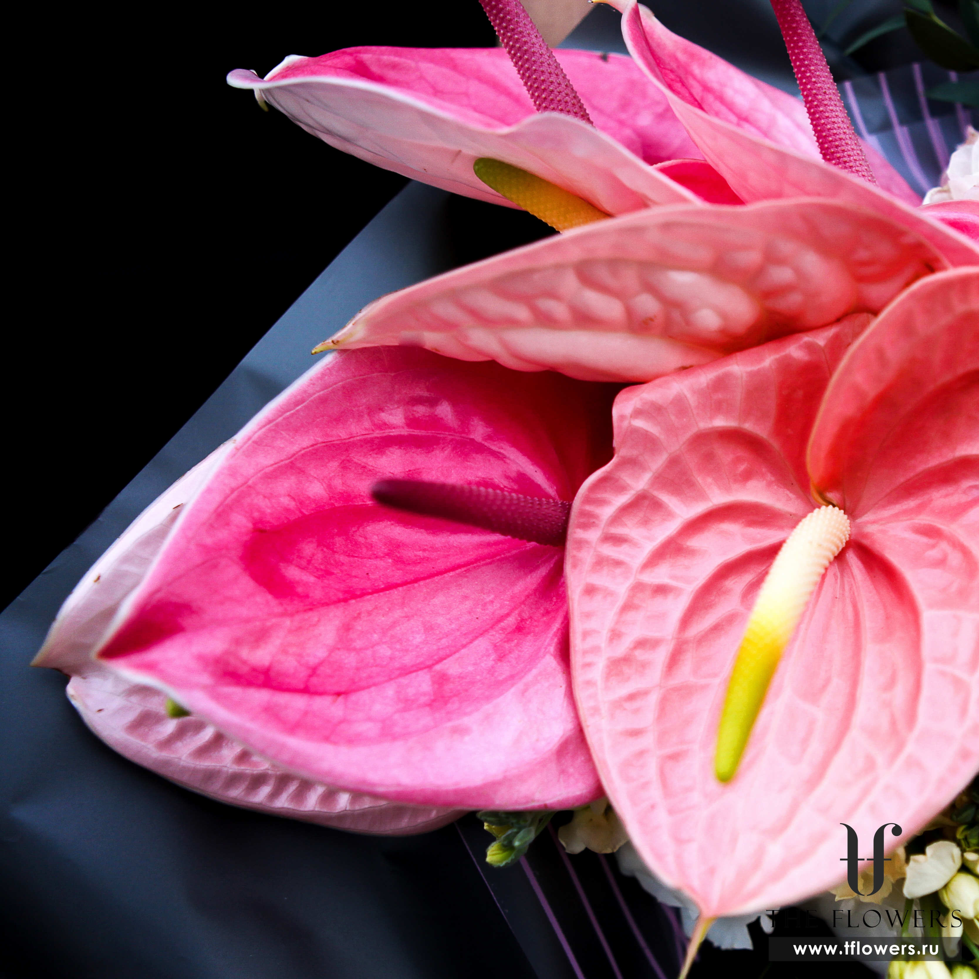 Букет с розовый Антуриум розовая Орхидея и другие цветы фото