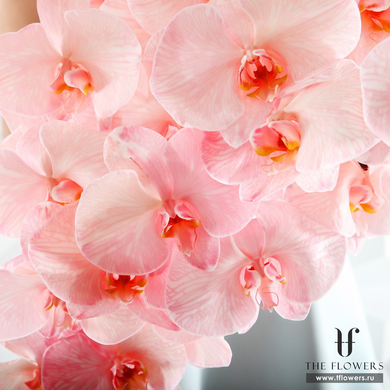 Букет нежно-розовых орхидей "ЛАКМЕ"