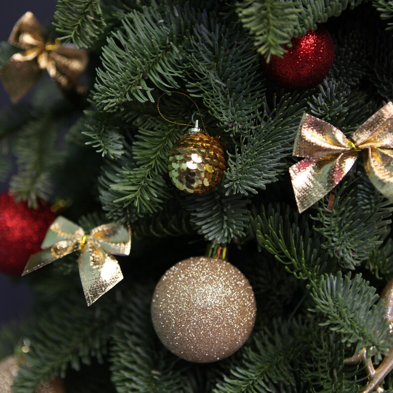 Живая елка на новый год "ГОЛД СИНТИ"